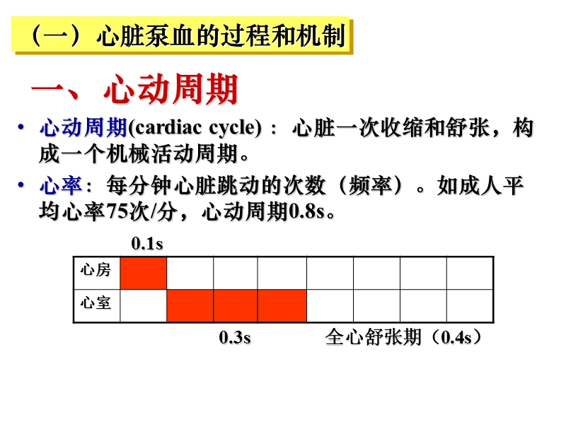 循环系统(泵生理).ppt_第3页