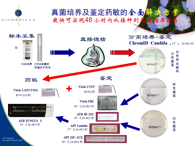 生物梅里埃真菌培养鉴定及药敏全面解决方案.ppt_第3页