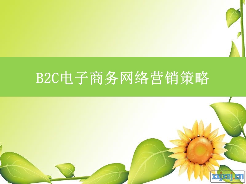 b2c电子商务网络营销策略.ppt_第1页