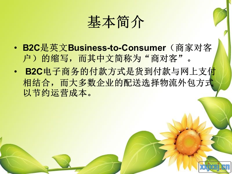 b2c电子商务网络营销策略.ppt_第3页