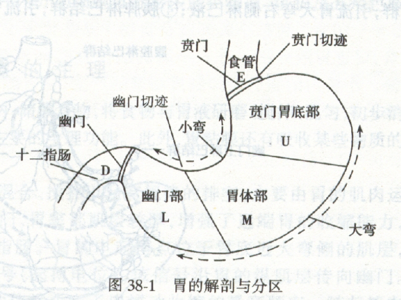 十二指肠乳头癌的疾病查房.ppt_第3页