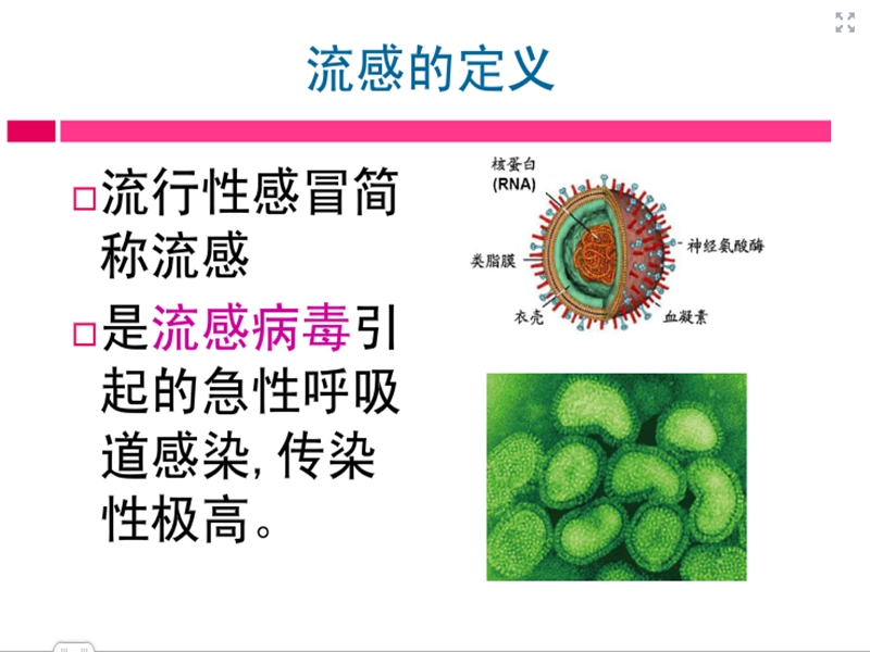 流感防控课件.ppt_第2页