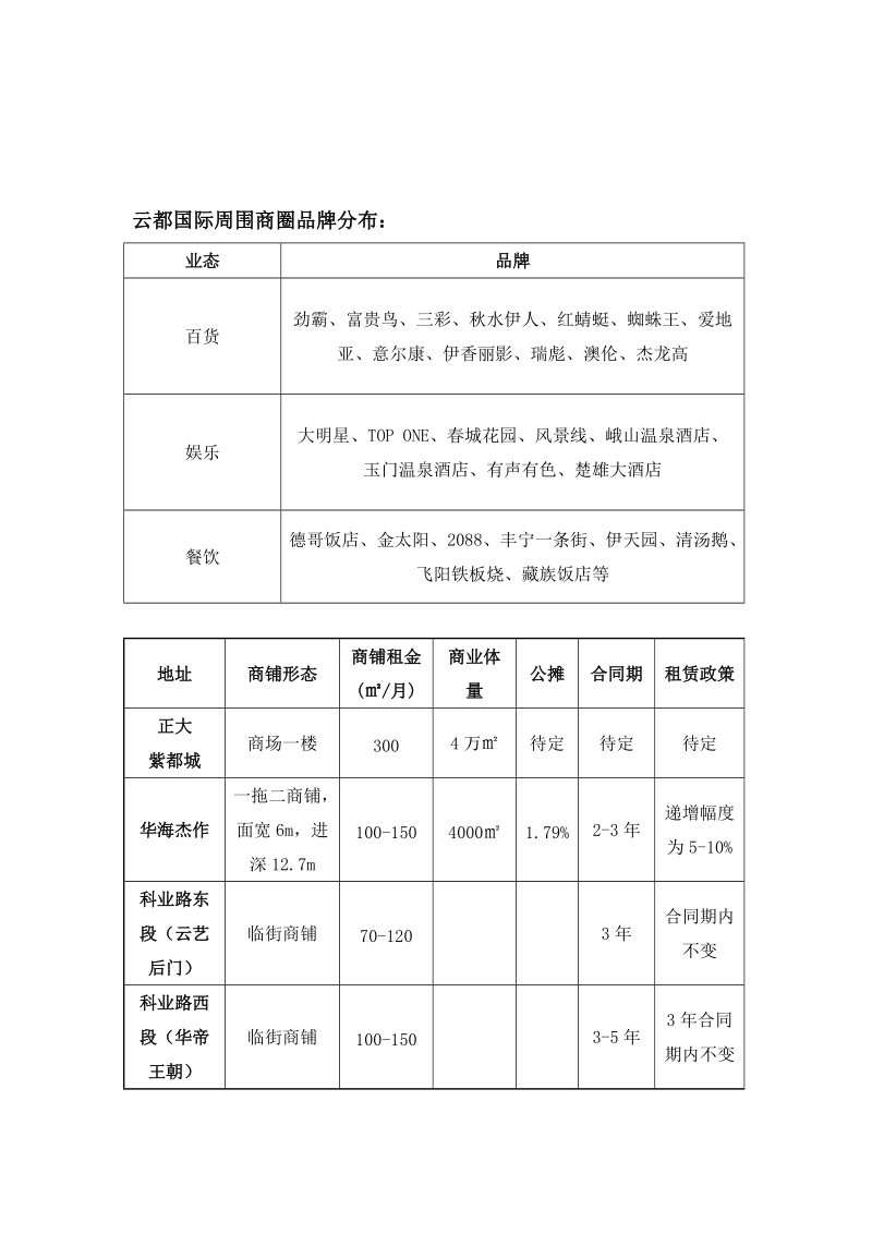 2011昆明云都国际项目--cbc社区商业中心规划提案38p.doc_第2页