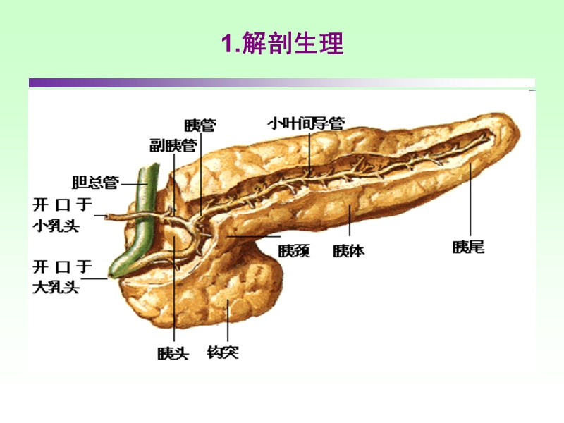 急性胰腺炎(2014.1).ppt_第3页