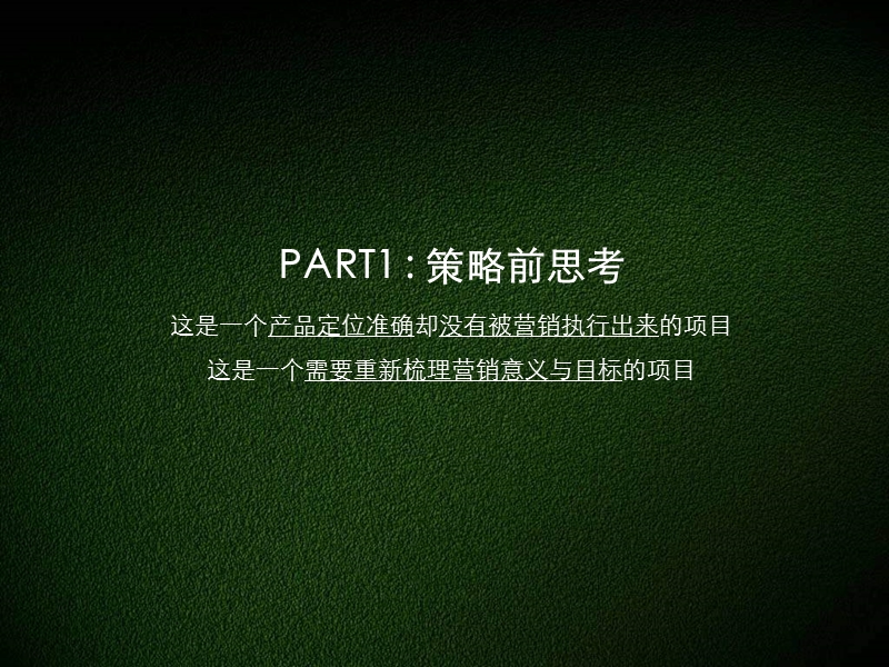 2009沈阳长青湾二期营销策略提案95p.ppt_第3页