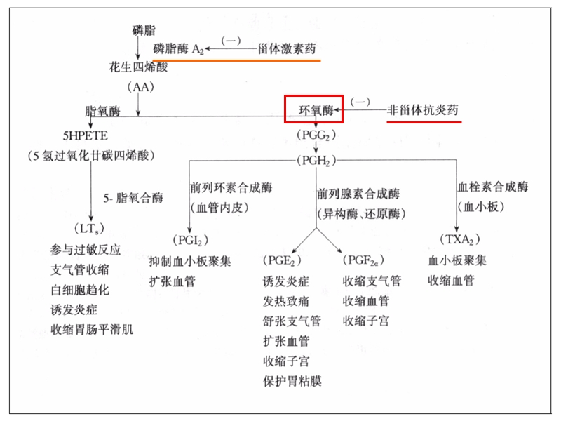 解热镇痛抗炎药.ppt_第3页