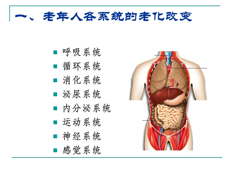 老年人常见健康问题与护理().ppt_第2页