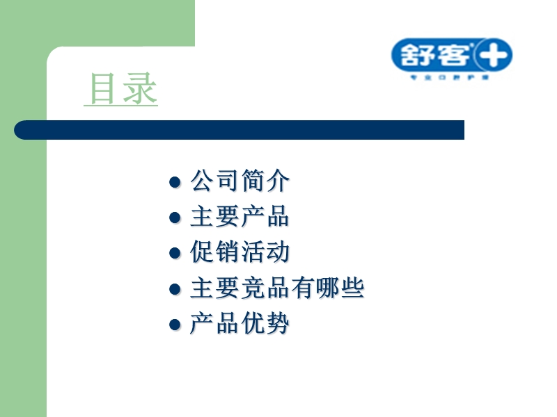 舒客冬季产品促销活动执行手册.ppt_第2页