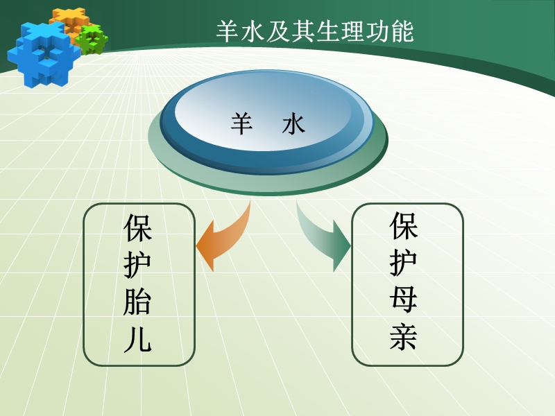 羊水异常.ppt_第3页