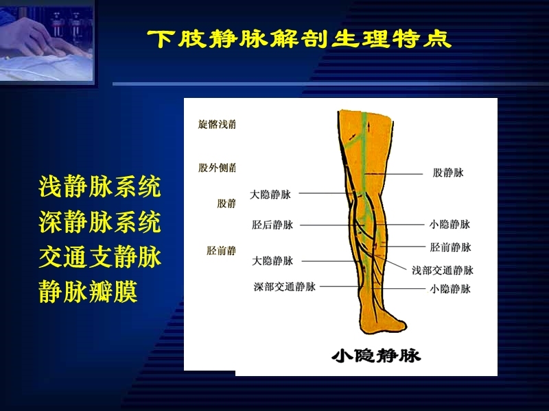 第十八章周围血管疾病病人的护理.ppt_第3页