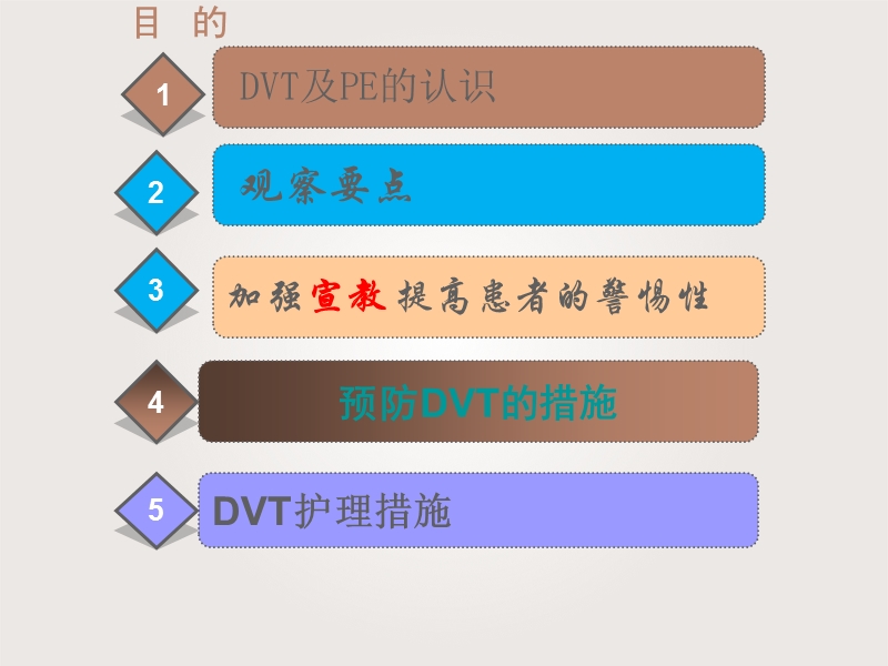 卧床患者dvt的预防与护理.ppt_第2页