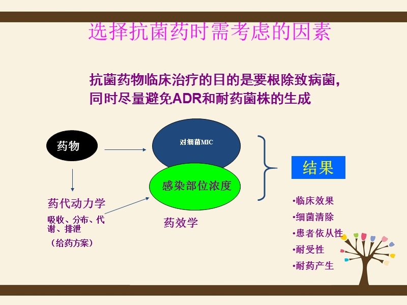 抗菌药物pkpd综合参数及临床应用的实际意义.ppt_第3页