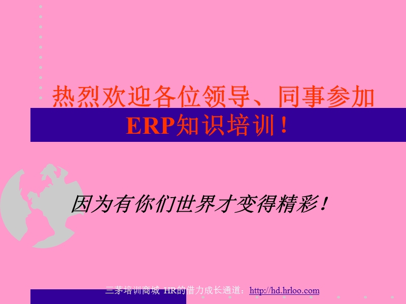 erp培训讲稿.ppt_第2页