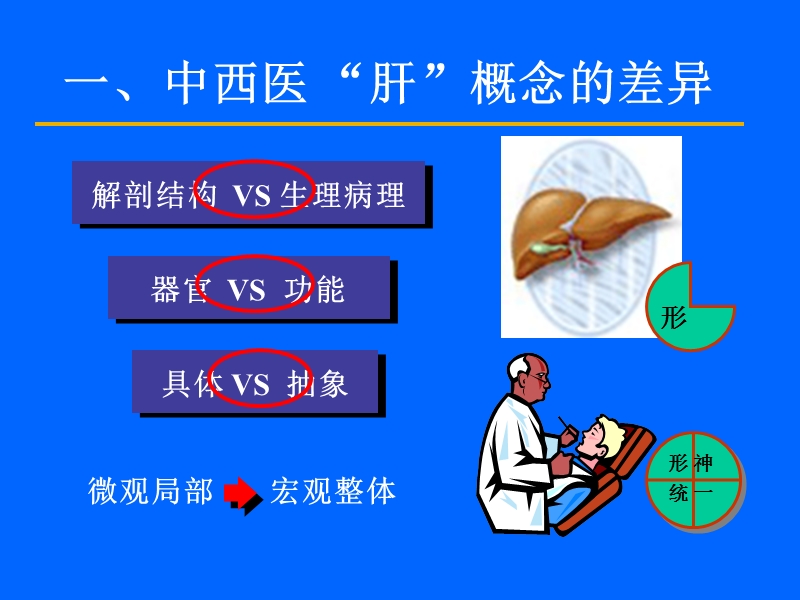 脏腑学说-肝.ppt_第2页