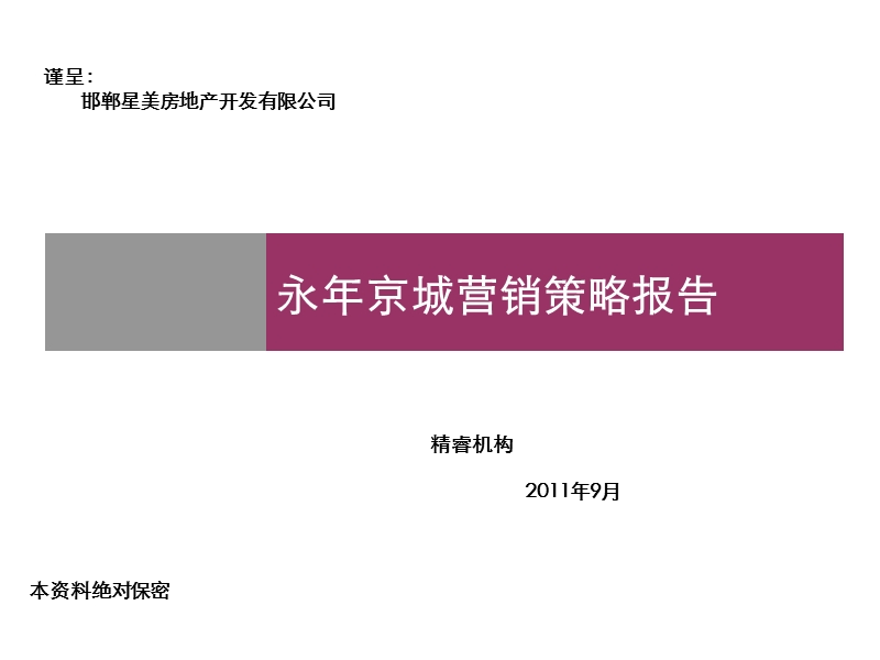 2011永年京城营销策略报告54p.ppt_第1页