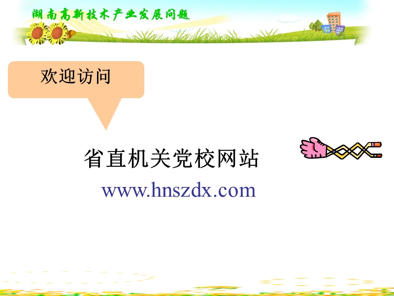 2009湖南省高新技术产业发展问题.ppt_第2页