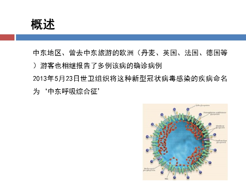 mers诊疗方案解读(2015年版).ppt_第3页