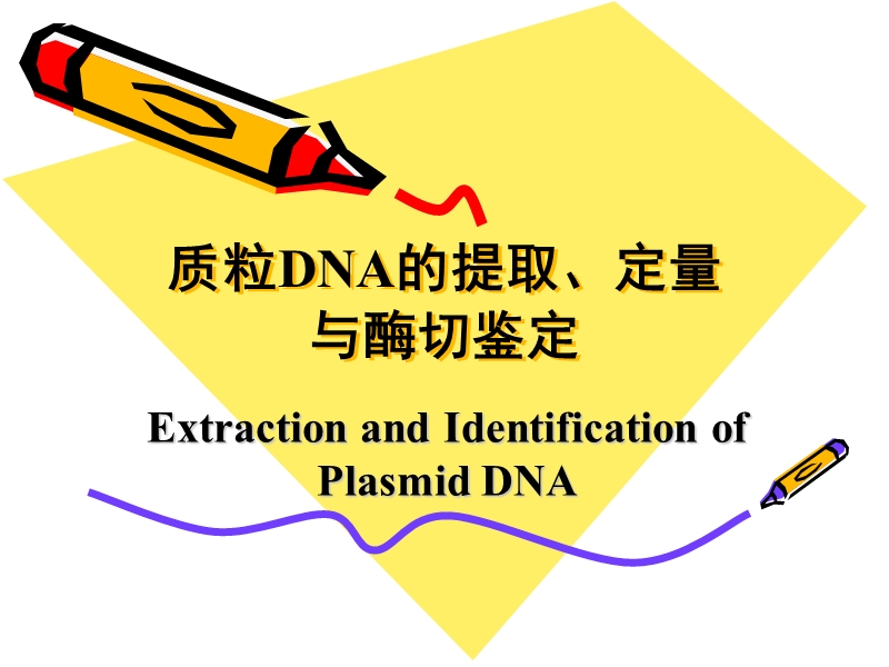 质粒提取、定量与酶切鉴定.ppt_第1页