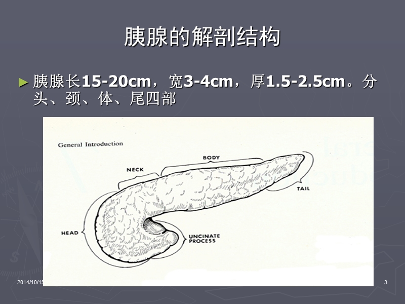 急性重症胰腺炎监测与护理.ppt_第3页