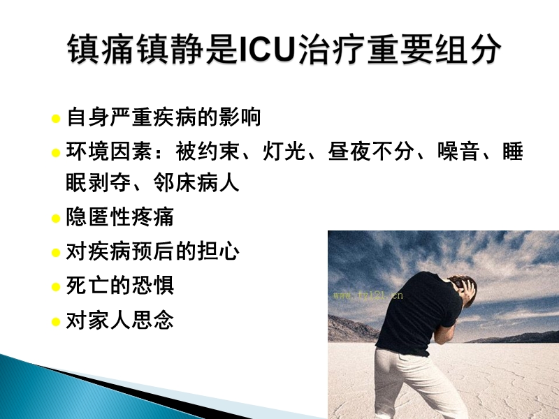 icu镇痛镇静指南2012.ppt_第2页