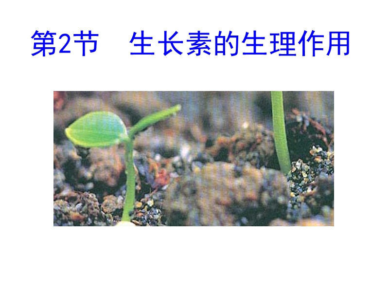 生长素的生理作用.ashx.ppt_第1页