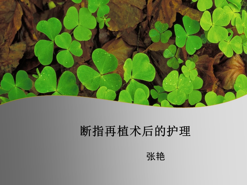 断指再植术后护理.ppt_第1页