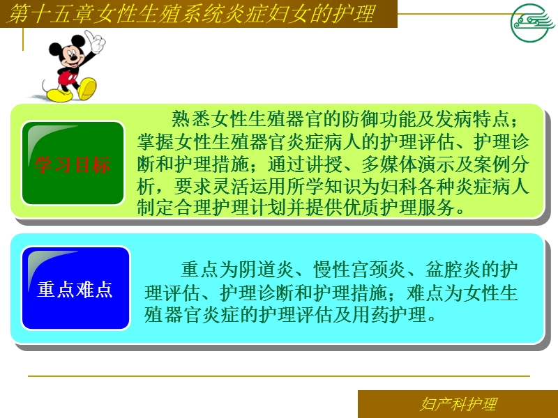 第十五章生殖器炎症护理.ppt_第2页