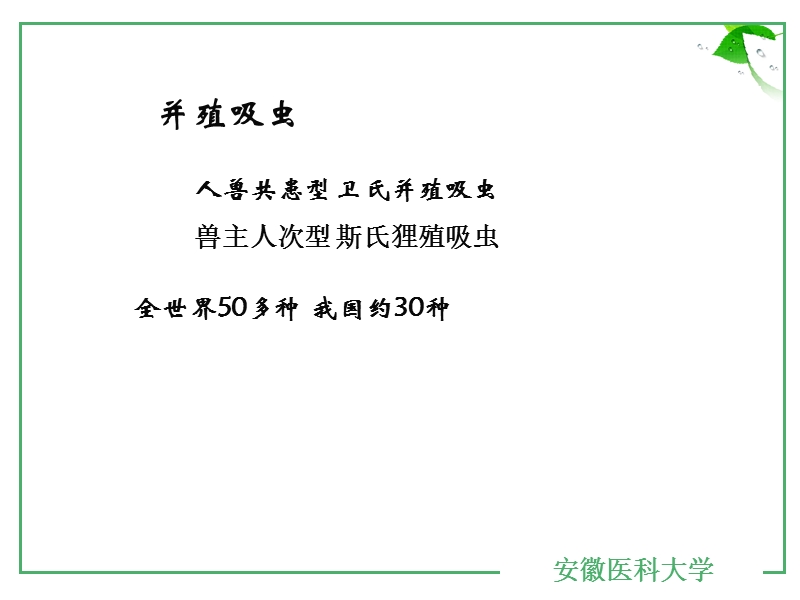 2014-2-20肺吸虫.ppt_第2页