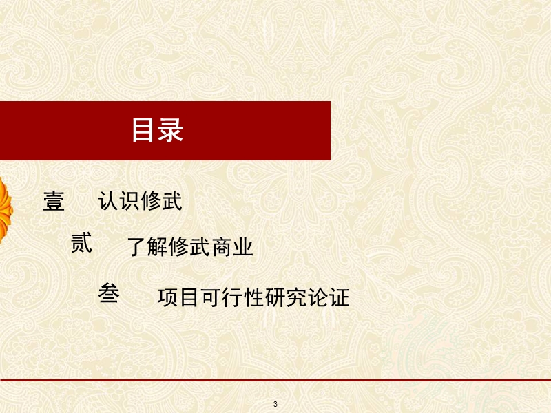 2009河南修武县商业步行街项目调查报告.ppt_第3页