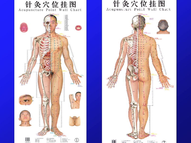 穴位按摩法.ppt_第2页