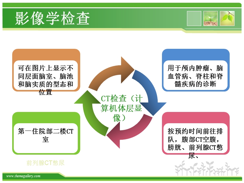 神经内科检查指引.ppt_第3页