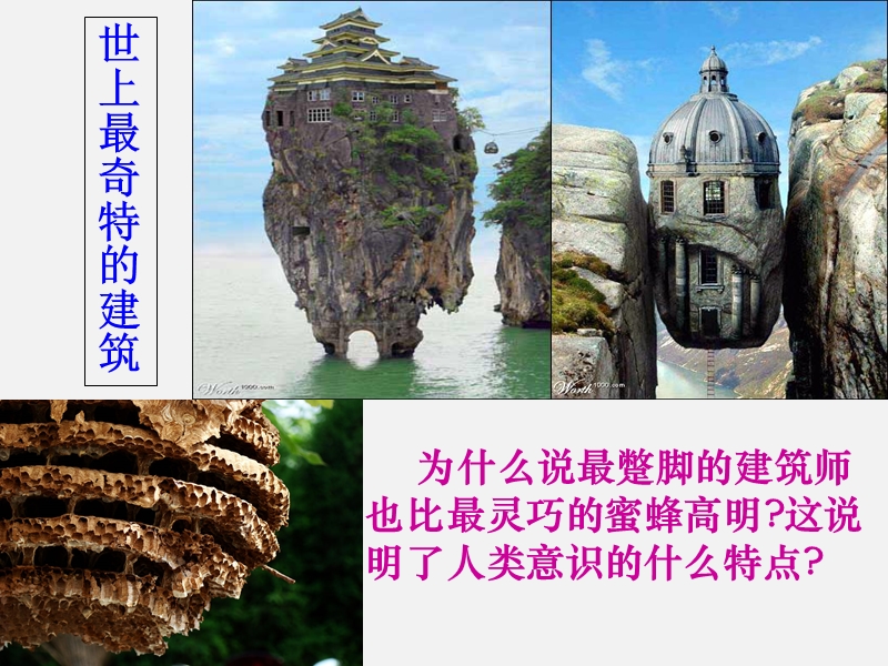 意识的作用.ppt_第3页