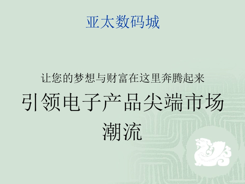 沈阳龙之梦亚太数码城项目规划方案(30页）.ppt_第3页