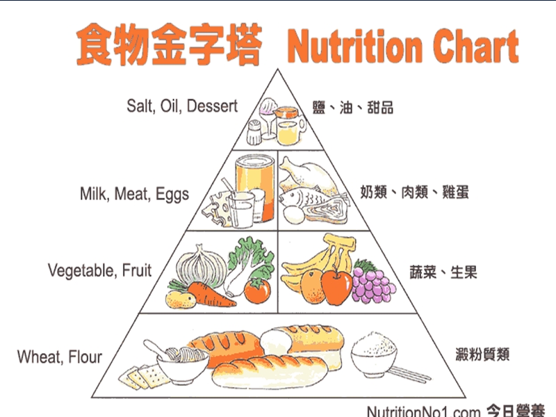 基础营养及办公室健康.ppt_第3页