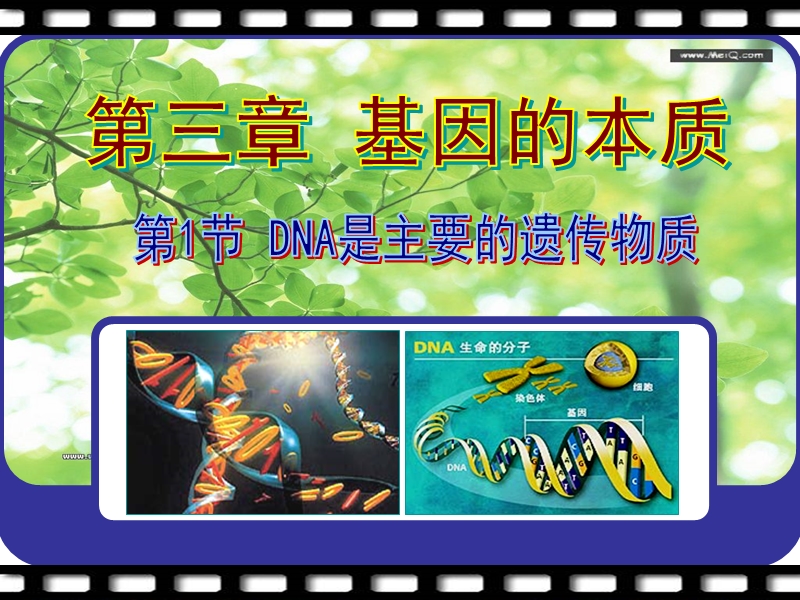 dna是主要的遗传物质ppt(上课用).ppt_第1页