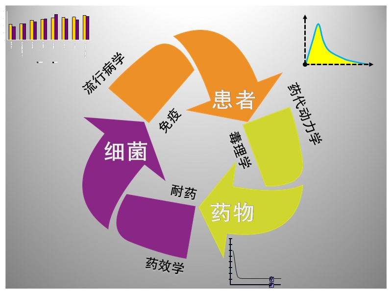 抗生素的临床合理应用.ppt_第2页