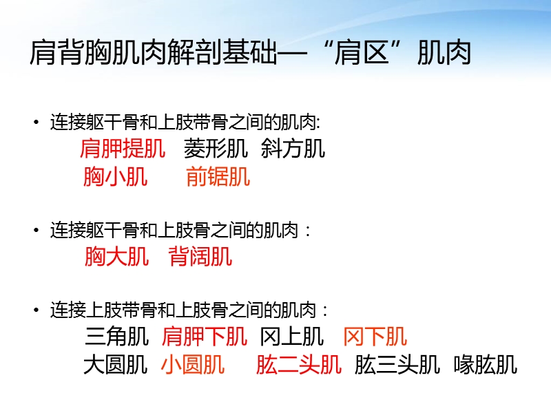 肩背胸肌肉牵伸.ppt_第3页