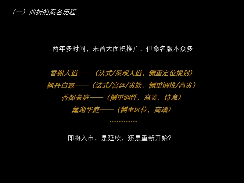 2009无锡丽悦蠡湖项目企划思路沟通.ppt_第3页