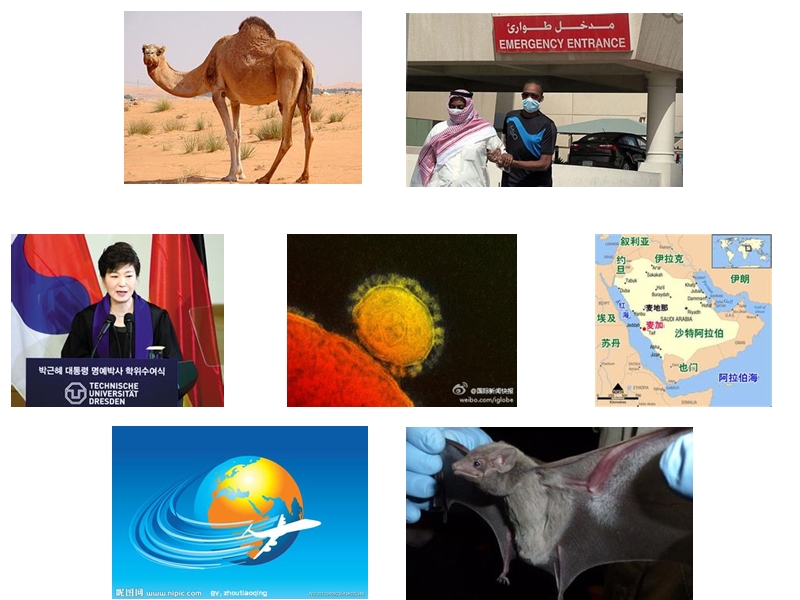 中东呼吸综合征冠状病毒(mers-cov)实验室检测.ppt_第2页