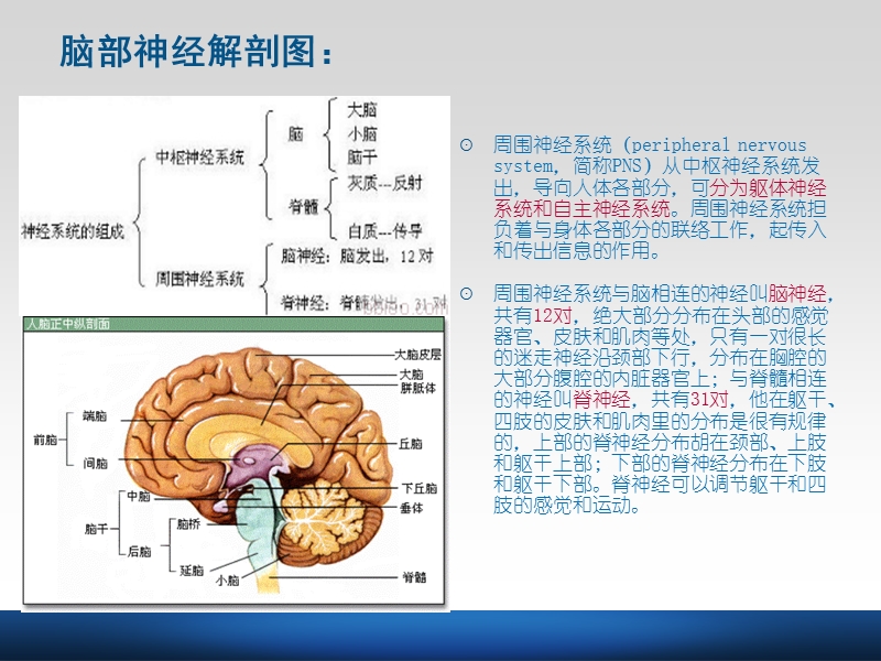 急性颅脑损伤的护理.ppt_第2页