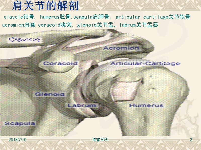 肩关节周围炎.ppt_第2页