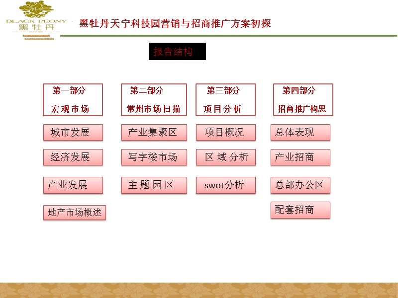 常州黑牡丹天宁科技园营销与招商推广方案初探49p.ppt_第1页