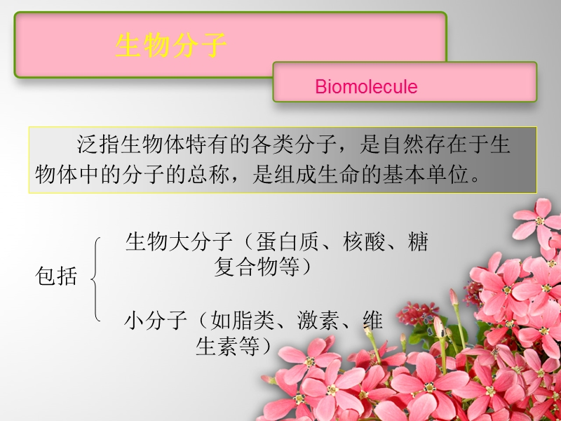 生物大分子的分离纯化及其应用2012.ppt_第2页