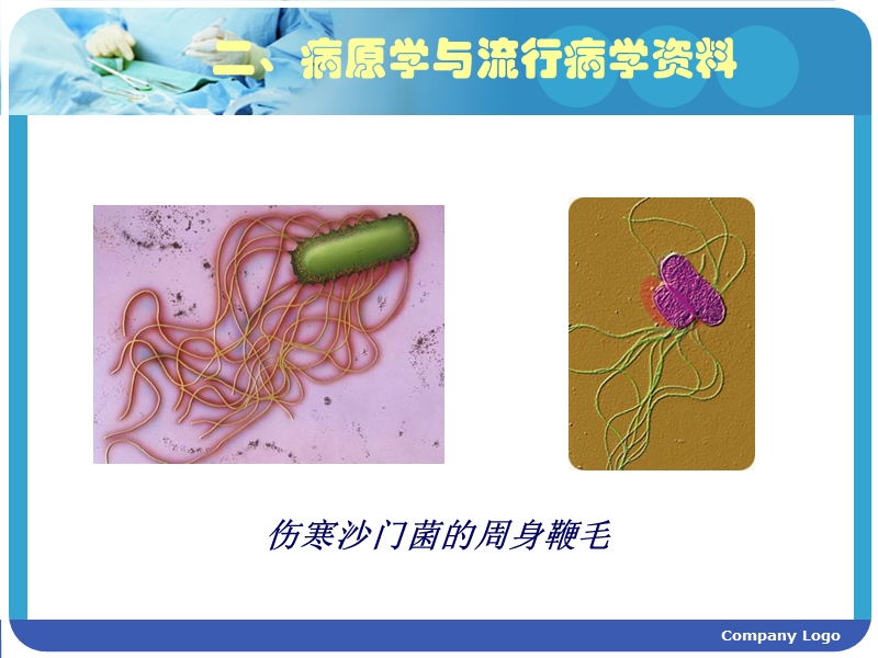 伤寒霍乱病人的护理.ppt_第3页