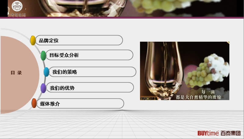 三智葡萄酒酒店渠道推广计划书.ppt_第2页