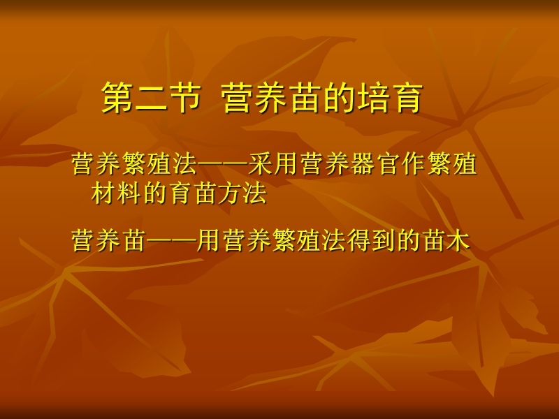 营养苗的培育.ppt_第1页