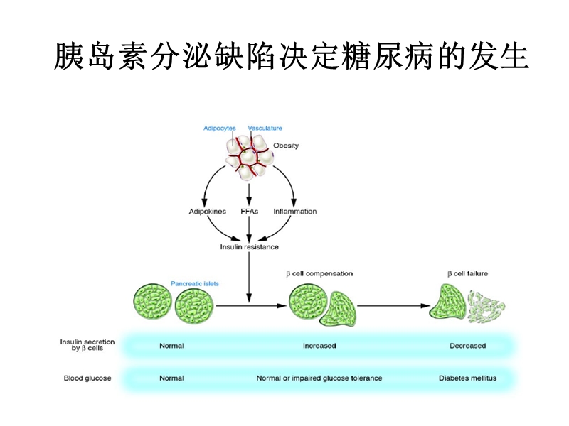 糖尿病胰岛素应用时机.ppt_第2页