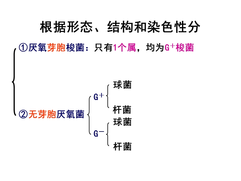 第12章厌氧性细菌.ppt_第2页