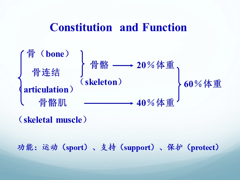 02骨学和关节学概述.ppt_第2页