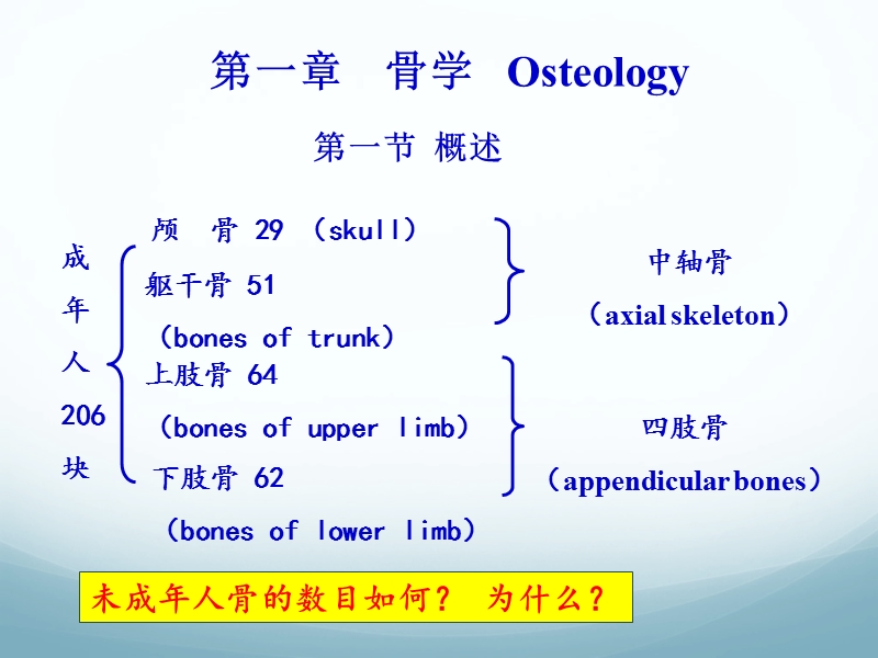 02骨学和关节学概述.ppt_第3页